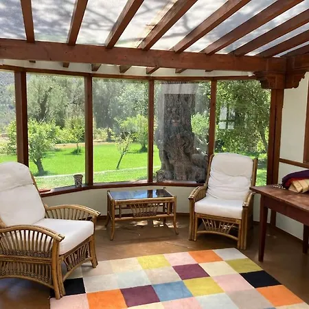Cortijo Pago Y Benisalte- A Stylish Set Within Beautiful Mountain Views Orgiva
